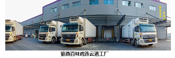 项目案例 项目案例